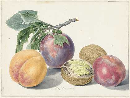 带水果的静物画`Stilleven met vruchten (1714 ~ 1760) by Michiel van Huysum