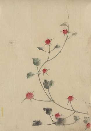 藤蔓上开着红色的小花`Small red blossoms on a vine (1830~1850) by Katsushika Hokusai