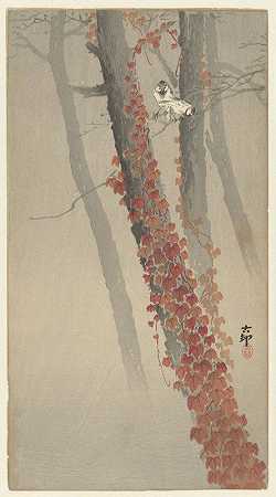 常春藤`Red ivy (1900 ~ 1930) by Ohara Koson