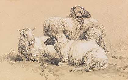 四只羊`Four sheep by Benno Raffael Adam