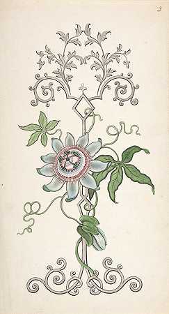 以西番莲为中心的面板装饰设计`Design for Panel Decoration Centered on a Passion Flower (1828–40) by J. Hulme