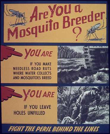 你是蚊子繁殖者吗`Are you a mosquito breeder (1941~1945)