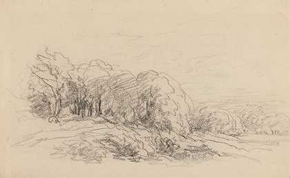 绿树成荫`Landscape with Trees (1840s) by David Cox