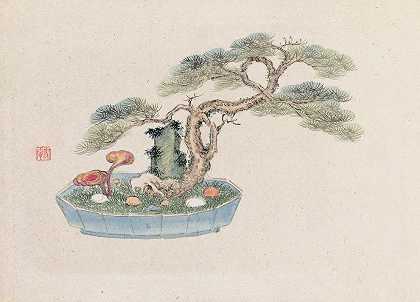 盆景卡本祖，Pl.01`Bonsai kabenzu, Pl.01 (1868~1912)