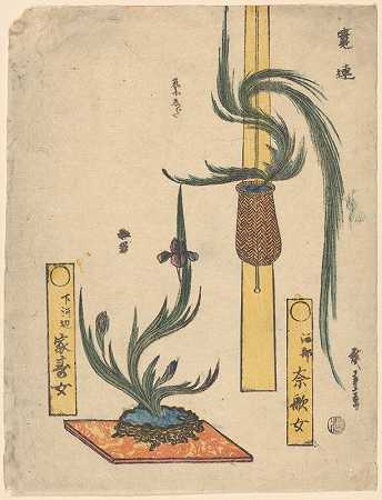 插花岩石碗中的篮松和鸢尾`Flower Arrangements; Basket Pine and Iris in Rock Bowl (19th century) by Andō Hiroshige