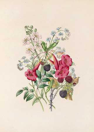 Trumpet Flower，勿忘我，拉斯伯里`Trumpet~Flower, Forget~Me~Not, And Raspberry (1847) by James Ackerman