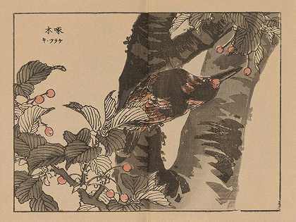 拜雷加夫，Pl.07`Bairei gafu, Pl.07 (1905) by Kōno Bairei
