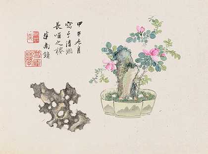 盆景卡本祖，Pl.20`Bonsai kabenzu, Pl.20 (1868~1912)