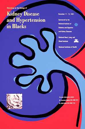 黑人肾病和高血压生物学研讨会`Workshop on the biology of kidney disease and hypertension in Blacks (1991) by National Institutes of Health