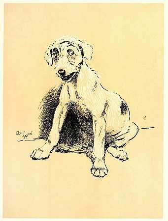 三伏天`A Dog Day Pl 13 (1902) by Cecil Charles Windsor Aldin
