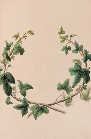 常春藤花环`Wreath Of Ivy (1840) by John Stevens Henslow