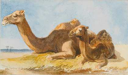 两只骆驼`Two Camels (1834) by Thomas Hartley Cromek