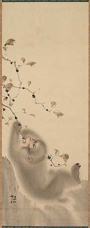 猴子紧紧抓住树枝`Monkey Hanging on to a Branch (1780) by Mori Sosen