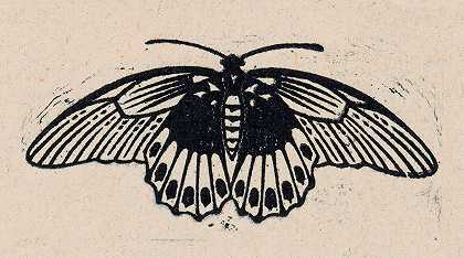 蝴蝶`Vlinder (1901~05~04) by Julie de Graag