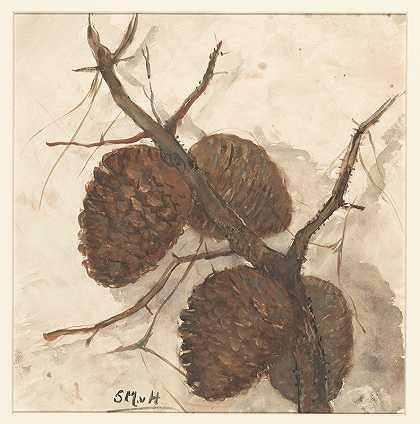 树枝上的菠萝`Sparappels aan een tak (1844 ~ 1909) by Sientje Mesdag Van Houten