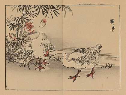 拜里·加夫，第10页`Bairei gafu, Pl.10 (1905) by Kōno Bairei