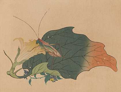 朱家森，Pl.08`Chūka senzen, Pl.08 (ca 1889) by Shunkei Mori