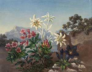 高山花卉`
Alpine Flowers (1867)