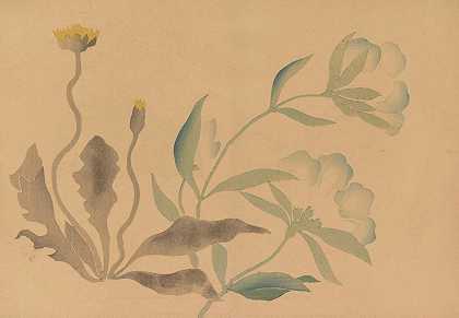科林·加夫，Pl.07`Kōrin gafu, Pl.07 (1868~1912) by Hōchū Nakamura