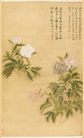 牡丹花`Peonies (1685) by Yun Shouping