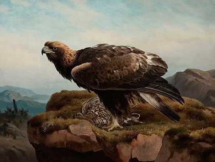 悬崖边的金鹰s边`Golden Eagle At A Cliffs Edge (1880) by Ferdinand von Wright