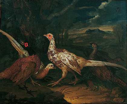 野鸡`Pheasants (1745) by Philipp Ferdinand de Hamilton