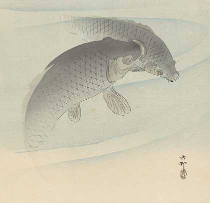 两条鲤鱼`Two carps (1900 ~ 1910) by Ohara Koson
