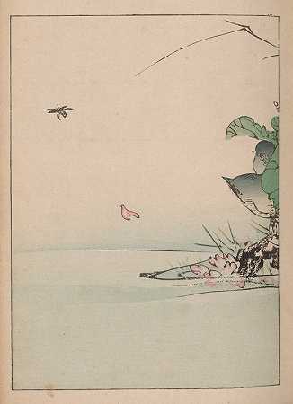 卡乔̄加夫，Pl.06`Kachō gafu, Pl.06 (1898) by Kōtei Fukui