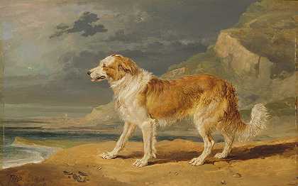 粗毛牧羊犬`Rough~Coated Collie (1809) by James Ward