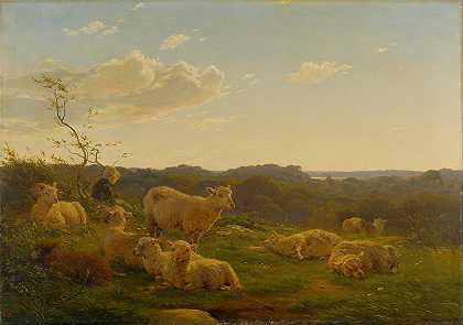 斯卡里德附近小山上的羊`Sheep on a hill near Skarridsø (1845) by Carlo Dalgas