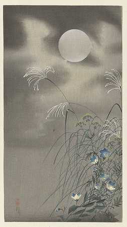 满月的草和花`Grasses and flowers at full moon (1900 ~ 1930) by Ohara Koson