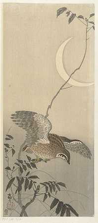 镰刀月亮上的鹌鹑`Quail at sickle moon (1900 ~ 1930) by Ohara Koson