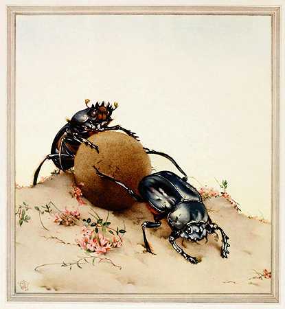 神圣的甲虫`The Sacred Beetle (1921) by Edward Julius Detmold