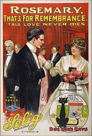 罗斯玛丽，那真爱永不消逝。`Rosemary, thats for remembrance True love never dies. (1914) by Goes Litho. Co.