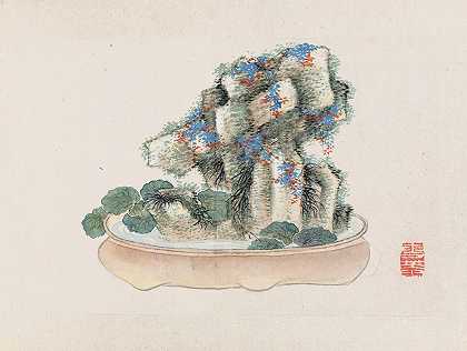 盆景卡本祖，Pl.08`Bonsai kabenzu, Pl.08 (1868~1912)