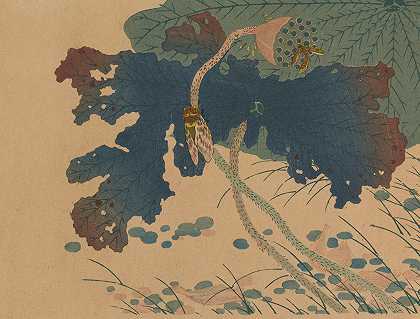 朱家森，Pl.03`Chūka senzen, Pl.03 (ca 1889) by Shunkei Mori
