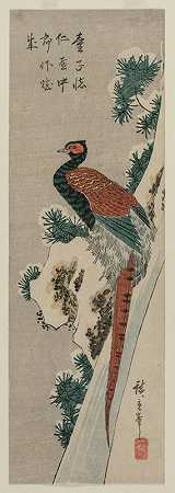 铜雉`Copper Pheasant by Snowy Waterfall (late 1830s or early 1840s) by Snowy Waterfall by Andō Hiroshige