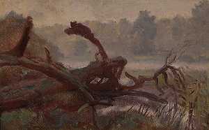 深林——风投，绘画草图`
Deep forest – Windthrows, sketch for a painting (circa 1902)  by Jozef Chelmonski