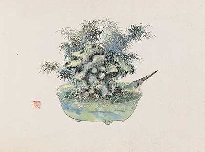盆景卡本祖，Pl.18`Bonsai kabenzu, Pl.18 (1868~1912)