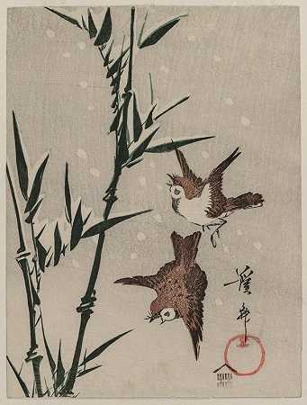 麻雀、竹子和降雪`Sparrows, Bamboo and Falling Snow (c. late 1820s) by Keisai Eisen