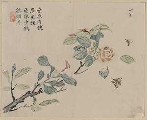 带蜜蜂的开花枝`
Flowering Branch with Bees (18th Century)