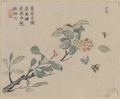 带蜜蜂的开花枝`Flowering Branch with Bees (18th Century)