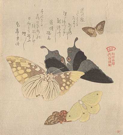 《蝴蝶群绘画手册》（GunchōGafu）4`The Painting Manual of Flock of Butterflies (Gunchō Gafu) 4 (1810s) by Kubo Shunman