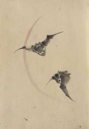 两只蝙蝠在飞翔`Two bats flying (1830~1850) by Katsushika Hokusai