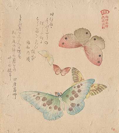 《蝴蝶群画册》（GunchōGafu）`The Painting Manual of Flock of Butterflies (Gunchō Gafu) (1810s) by Kubo Shunman