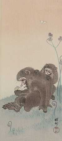 两只猴子和蝴蝶`Two monkeys with butterfly (1900 ~ 1945) by Ohara Koson