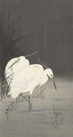 芦苇丛中的两只白鹭`Two egrets in the reeds (1900 ~ 1930) by Ohara Koson