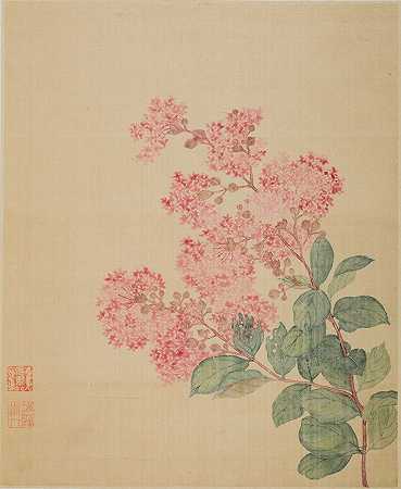 绣球花`Hydrangea (1690) by Ma Yuanyu