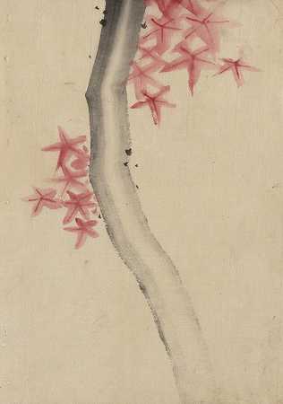身份不明，可能是树枝上有红色的星形叶子或花朵`Unidentified, possibly a tree branch with red star~shaped leaves or blossoms (1830~1850) by Katsushika Hokusai