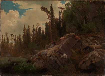 树木和岩石景观研究`Landscape Study with Trees and Rocks (1851) by August Cappelen